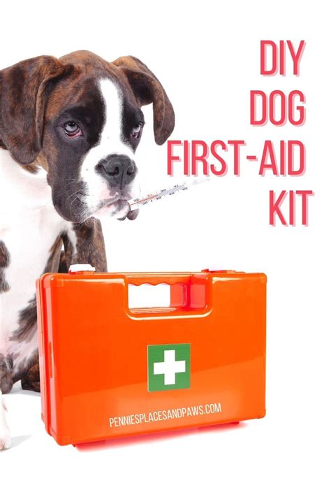 Create The Perfect Emergency Kit In 2021 Diy Dog Stuff First Aid Kit