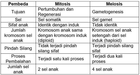 Tuliskan Perbedaan Pembelahan Meiosis Dan Mitosis