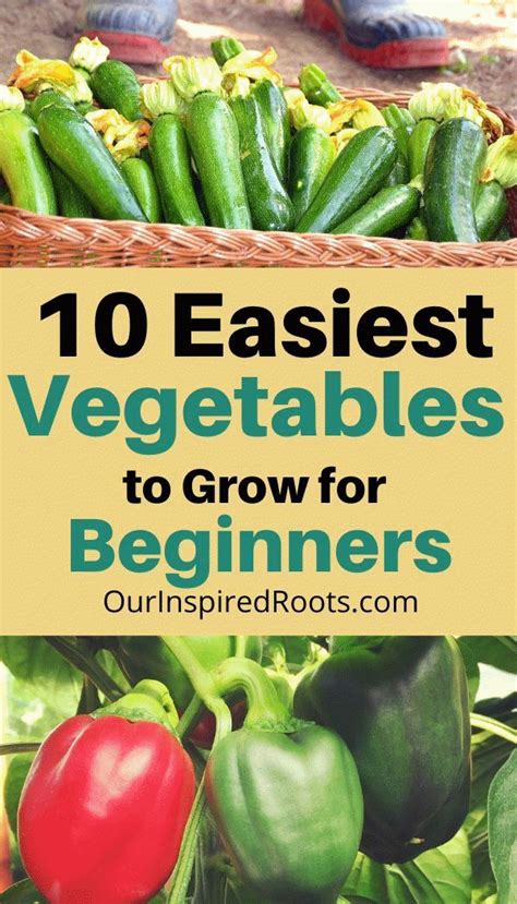 10 Easiest Vegetables To Grow For Beginner Gardening In 2020 Easy