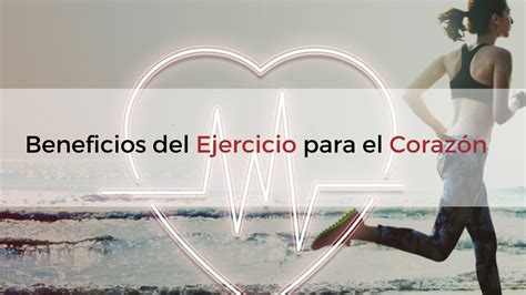 El Poder Del Ejercicio Cardiovascular Beneficios Para Tu Corazón Y Estado De ánimo Arearmonia