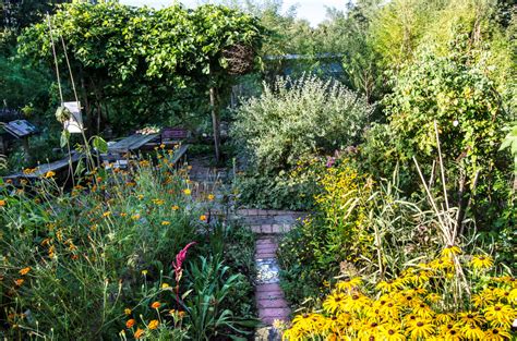 Design A Permaculture Garden The 12 Principles To Follow