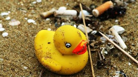 Rubber Duck On The Beach Container Spills Into Ocean Sending Thousands