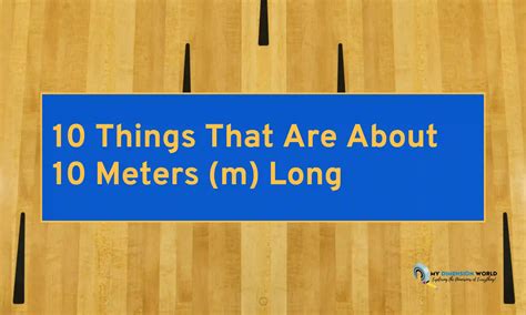 10 Things That Are About 10 Meters M Long