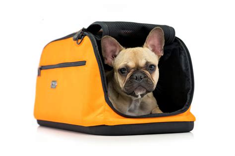 You may do so on: Sleepypod Air: Airline-Approved In-Cabin Pet Carrier