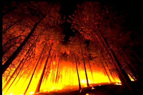 Forest Fire Wallpapers Wallpaper Cave