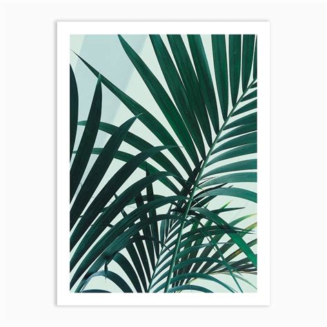 Palm Leaves Art Print By Sebastian Hilgetag Fy