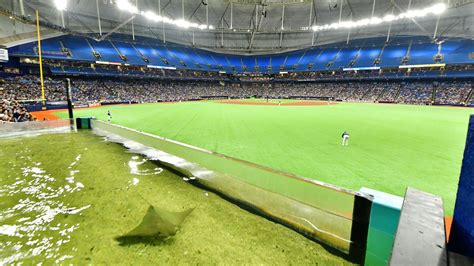 The Rays Are Returning To Tropicana Fields Outfield Tank Axios Tampa Bay