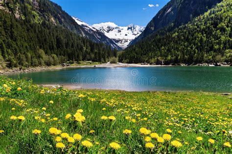 Beautiful Mountain Landscape With Lake And Meadow Flowers In Foreground