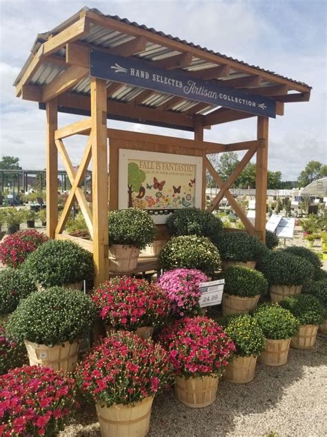 Garden Center Displays Garden Centre Iris Garden Garden Plants