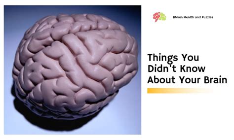 Top 6 Bizarre Things You Didn T Know About Your Brain Brain Health