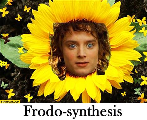 Frodo Synthesis