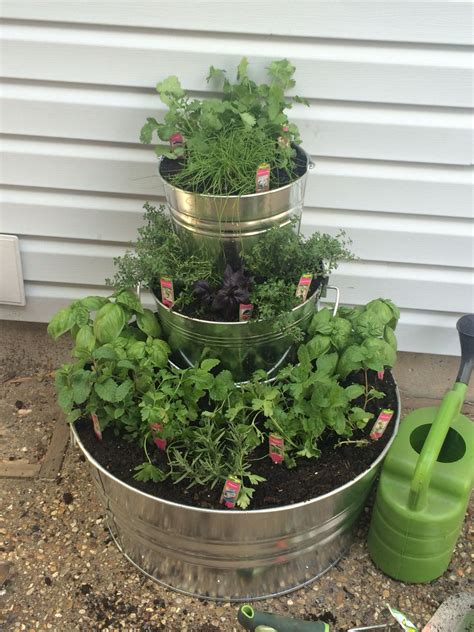 Tiered Herb Garden Using Galvanized Buckets Bucket Gardening Garden