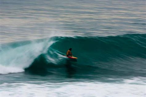 Rob Machado Page 2 Surfy Surfy