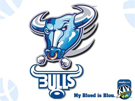 Bulls Rugby Logo