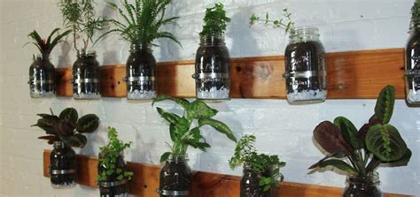 Diy Build A Mason Jar Herb Garden