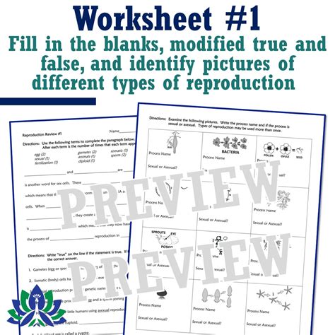 sexual and asexual reproduction worksheets set of 3 flying colors science