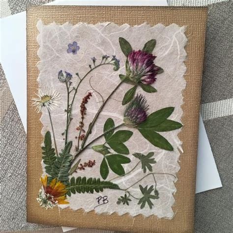 Northwest Wildflowers Card Dried Pressed Flower Card Boho Card