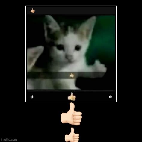 Thumbs Up Cat Be Like Imgflip