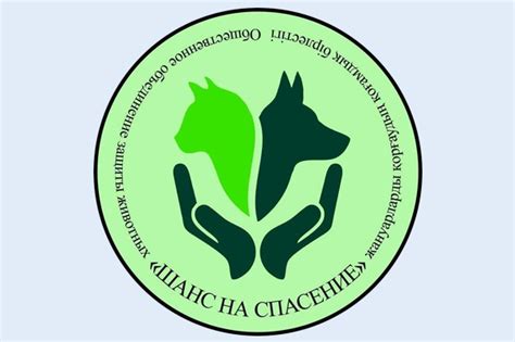 Общественное объединение защиты животных «Шанс на спасение» в Кокшетау ...