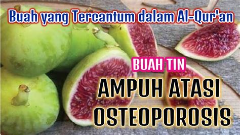 Tumbuhan itu jadi pakan untuk. BUAH YANG TERCANTUM DALAM AL-QURAN, BUAH TIN AMPUH ...