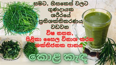 හාතවාරිය වැල්පෙනෙල කරපිංචා කොළ කැඳ Kola Kanda Recipe In Sinhala