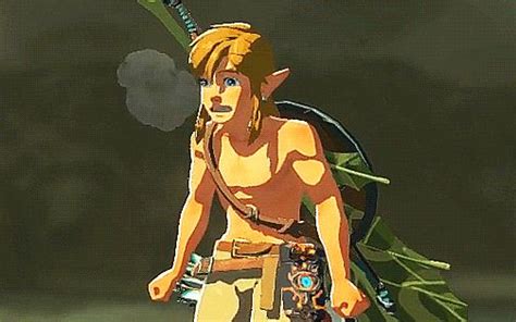 The Legend Of Zelda Breath Of The Wild X Insert Lenny Face