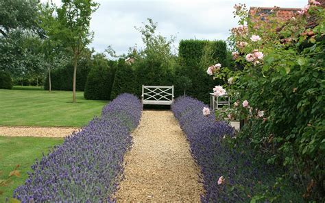 A Classic English Garden Landscape Design Project By Susannah