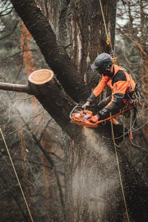 Pin By Nick On Pins By You In 2024 Arborist Gear Types Of Saws Tree Service