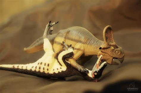 Protoceratops Vs Velociraptor By Rafaelsiano On Deviantart