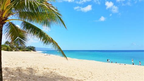 North Shore Beaches Map List Best Beaches On The North Shore Oahu Hawaii