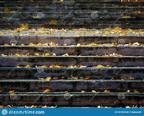 Stair Steps Covered With Yellow Leaves In Autumn Stock Photo Image Of