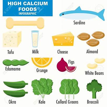 Calcium Foods Thyroid Relationship Infographics Bones Vector