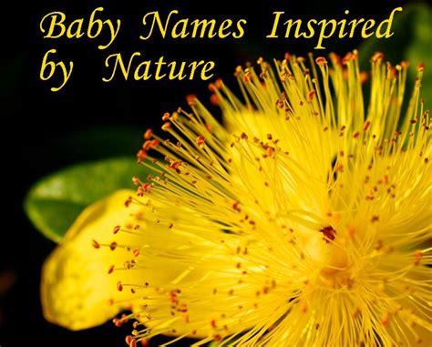 Beautiful Baby Names Inspired By Mother Nature Wehavekids