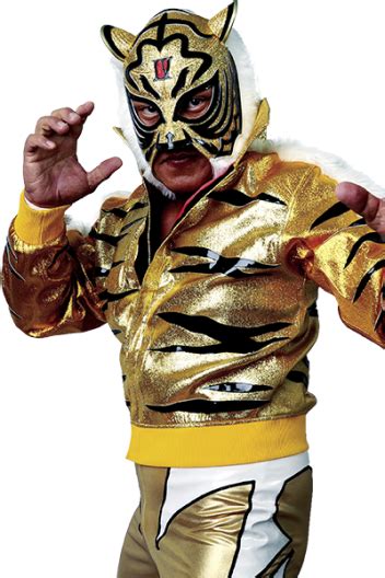Tiger Mask Tiger Mask Wrestler Samurai Gear Joker Best Fictional