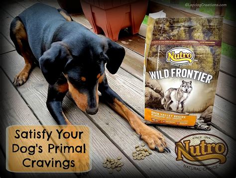 Lapdog Creations: Satisfy Your Dog's Primal Cravings with NUTRO