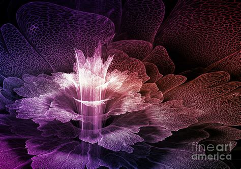Purple Fractal Flower Digital Art By Martin Capek Fine Art America