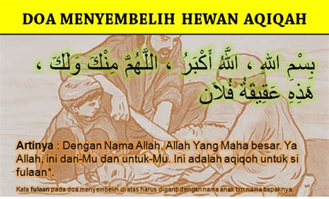 Haiwan aqiqah seperti lembu, kerbau dan unta boleh dikongsi sehingga 7 bahagian bersamaan 7 ibadat korban. Doa Menyembelih Hewan Qurban, Aqiqah, dan Hewan Konsumsi ...