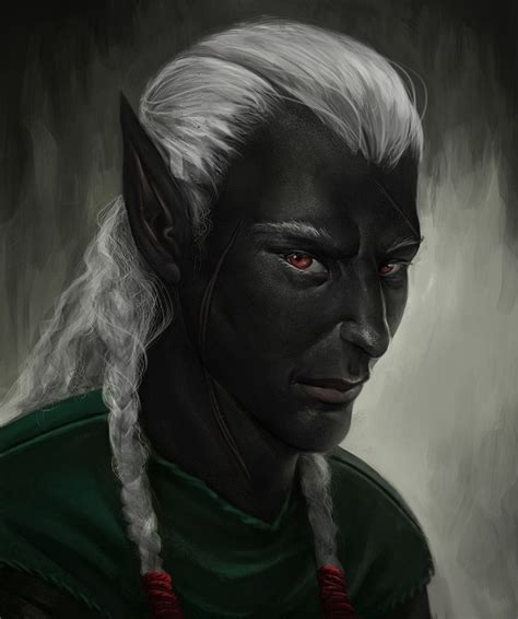 Drow Student Mage Dark Elf Character Portraits Drow Male