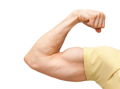 Royalty Free Bicep Pictures Images And Stock Photos Istock
