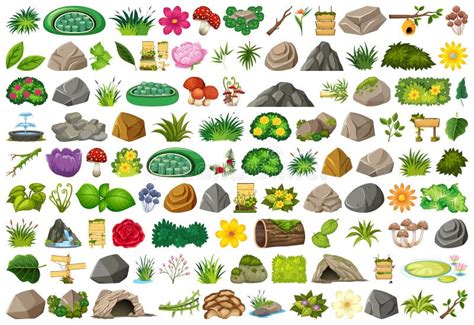 Large Set Of Nature Objects Stock Vector Illustration Of Flowers