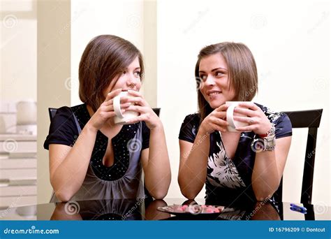 Two Cheerful Girls Stock Image Image Of Laughing Pair 16796209
