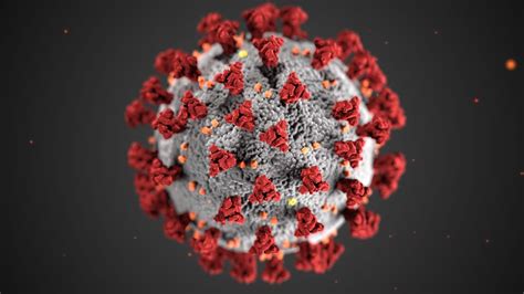 The Cdc Drawing Of Coronavirus Looks Much Different In The Hands Of An