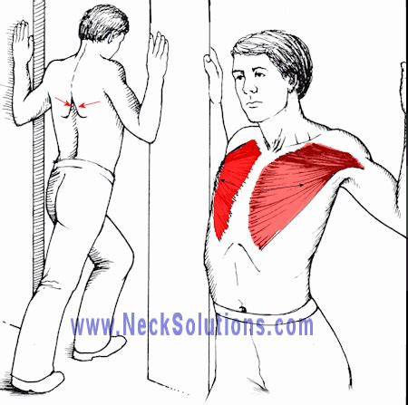 Pain between shoulder blades can produce that nagging type of pain that is difficult to reach. Shoulder chest pain, best fitness tapes, list of healthy ...