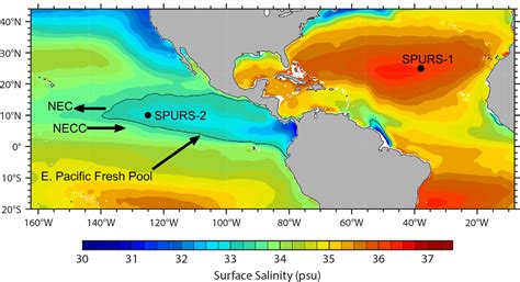 On The Factors Driving Upper Ocean Salinity Variability At The Western