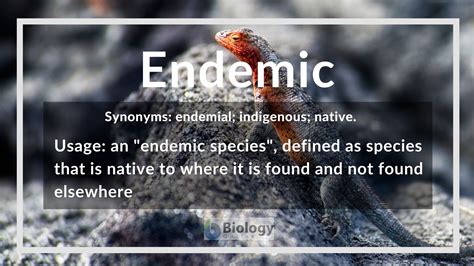 They show the diversity, distribution and conservation of many species. Endemic Definition and Examples - Biology Online Dictionary