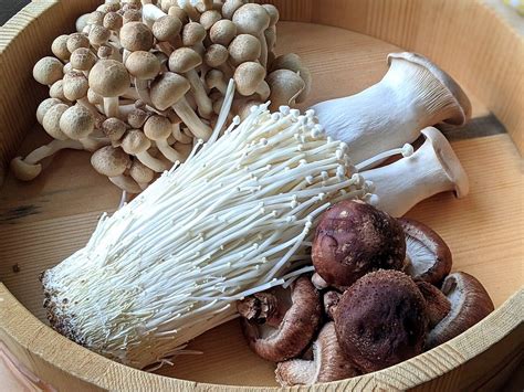 Learn Japanese Mushrooms Stuffed Mushrooms How To Cook Mushrooms