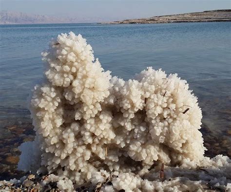 Dead Sea Beauty Dead Sea Mineral And Dead Sea Health Cosmetics Products