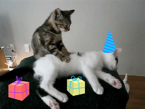 Celebrate Happy Birthday  By Birthday Bot Find And Share On Giphy