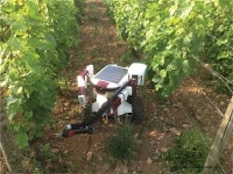 Report Agricultural Robot Market Expected To Hit 163 Billion By 2020