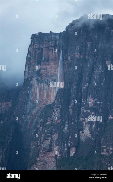 Kerepakupai Vena O Salto Angel El Salto Angel En Las Nubes Cataratas